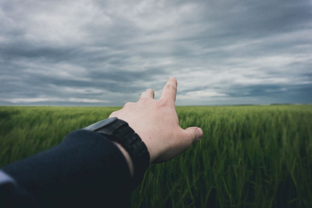 Hand in the field. Original public domain image from Wikimedia Commons