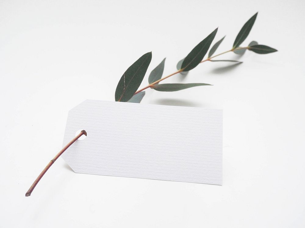 Eucalyptus with a blank tag. Original public domain image from Wikimedia Commons