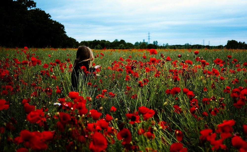 Woman in a poppy field. Original public domain image from Wikimedia Commons