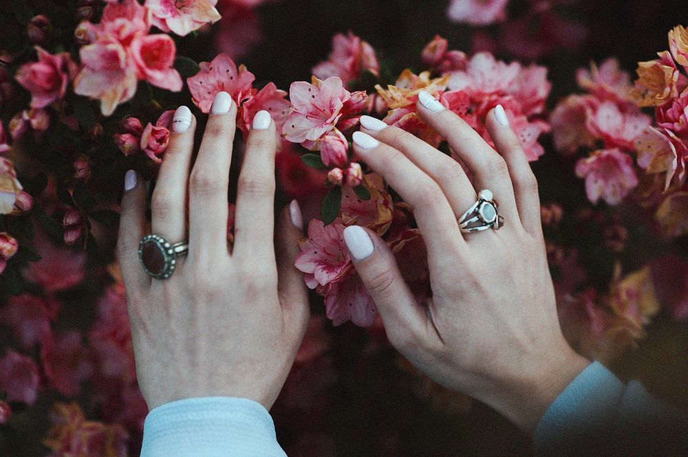 Hands and pink flowers. Original public domain image from Wikimedia Commons