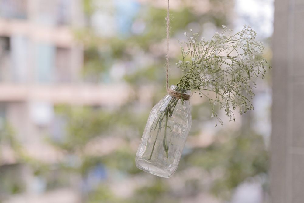 Baby&rsquo;s-breath posy on a string. Original public domain image from Wikimedia Commons