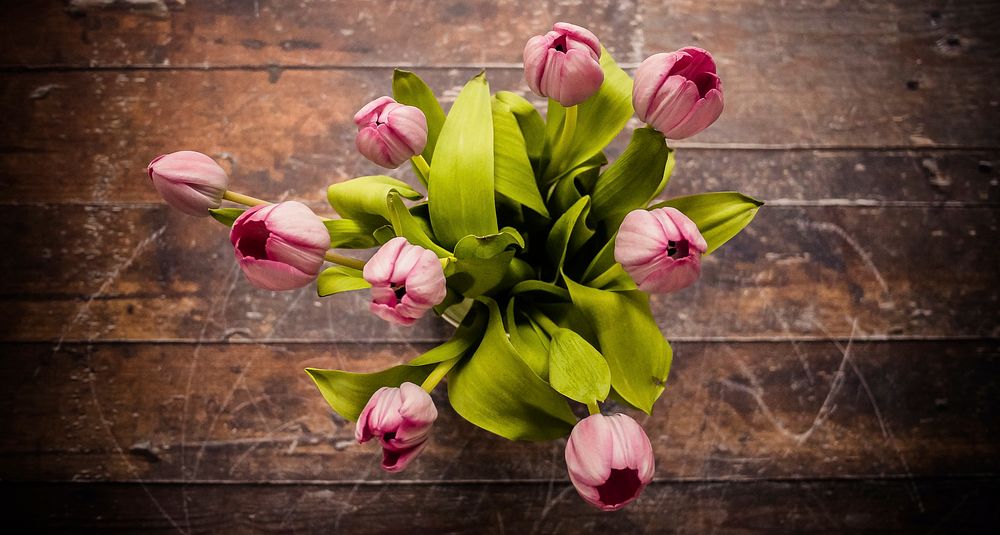 Overhead shot of pink tulips on wooden table. Original public domain image from Wikimedia Commons