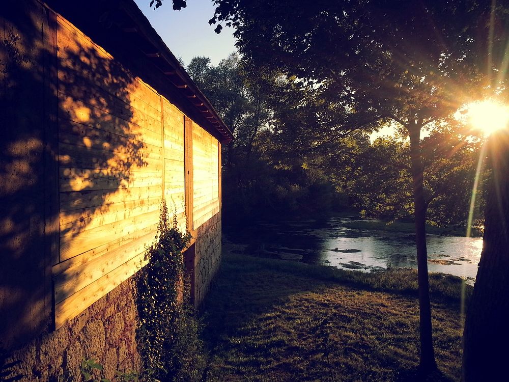 Evening sun over trees near a river and a house. Original public domain image from Wikimedia Commons
