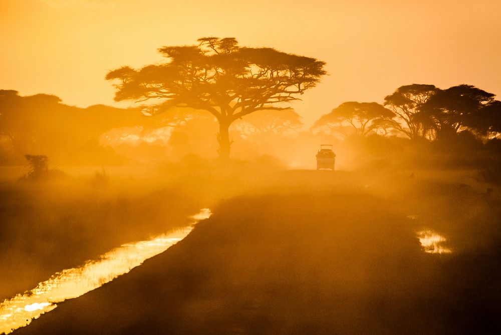 Amboseli national park, Kenya. Original public domain image from Wikimedia Commons