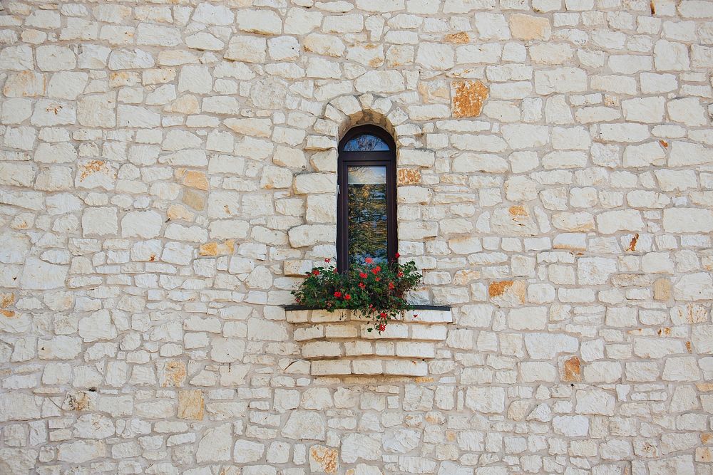 Red flower on window, brick tower. Original public domain image from Wikimedia Commons