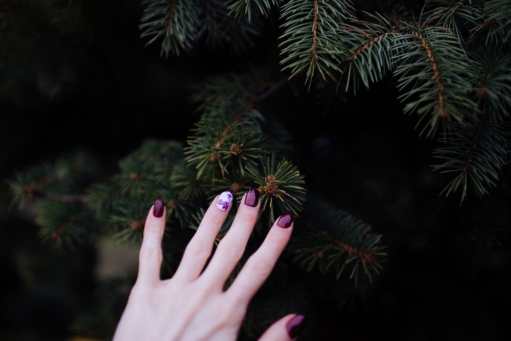 Woman touching a Christmas tree. Original public domain image from Wikimedia Commons