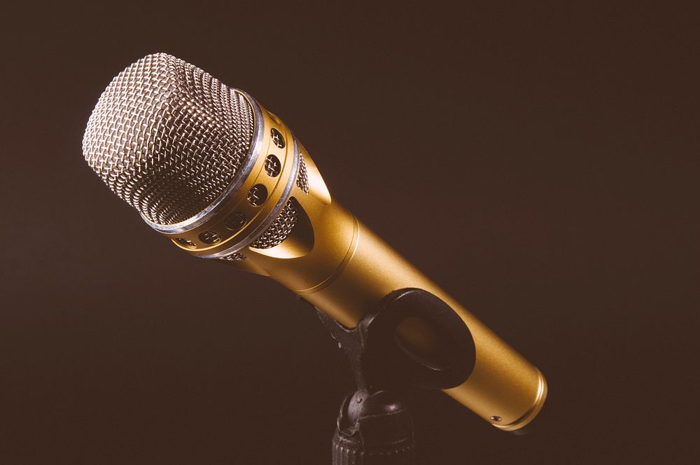 Microphone. Original public domain image from Wikimedia Commons