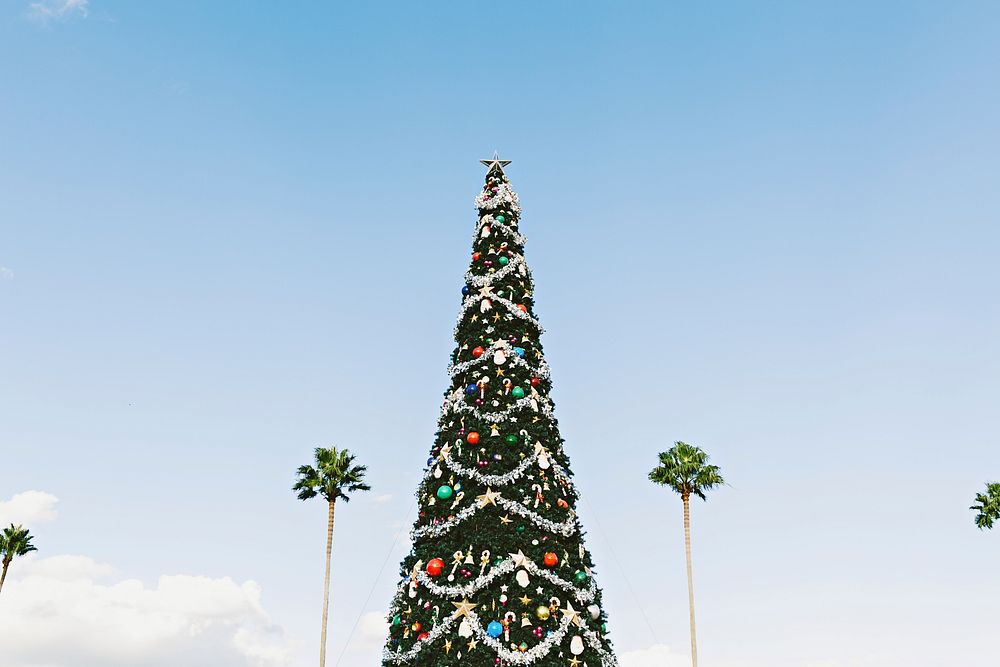 Christmas with holiday decorations looks festive among palm trees and a blue sky. Original public domain image from…