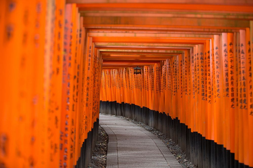 Torii gate, Japan. Original public domain image from Wikimedia Commons