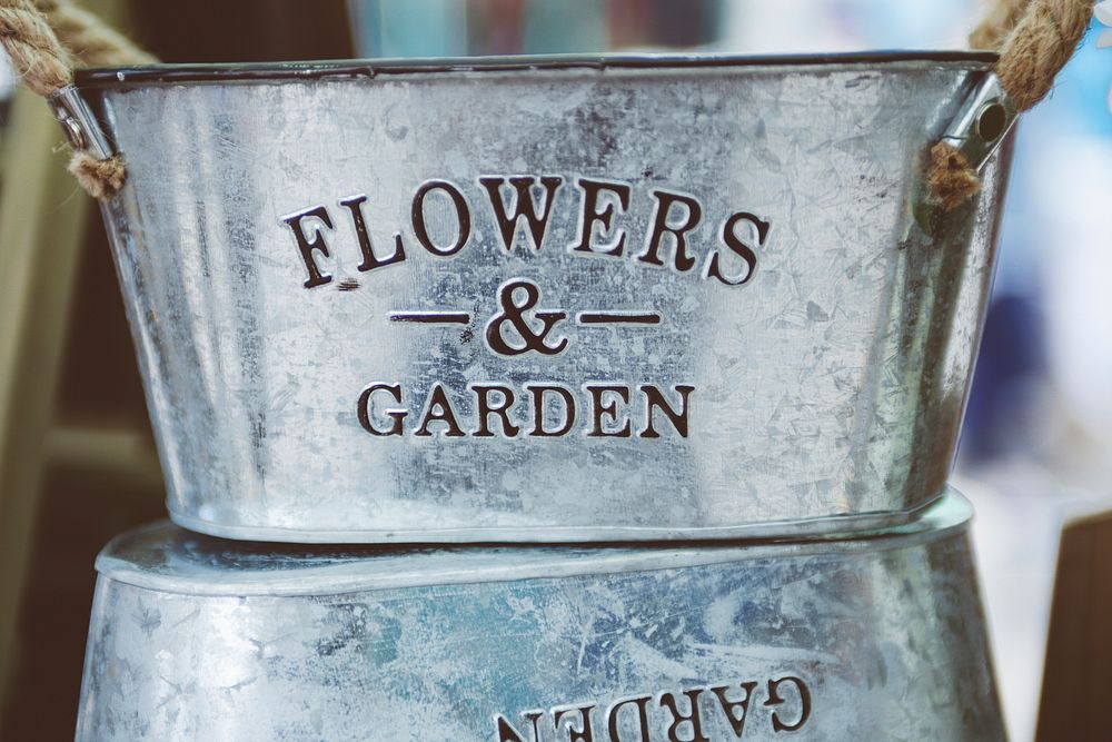Flower pot in close-up. Original public domain image from Wikimedia Commons