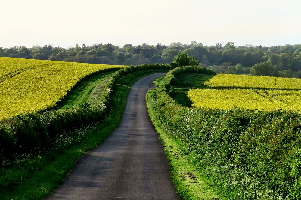 Countryside road. Original public domain image from Wikimedia Commons