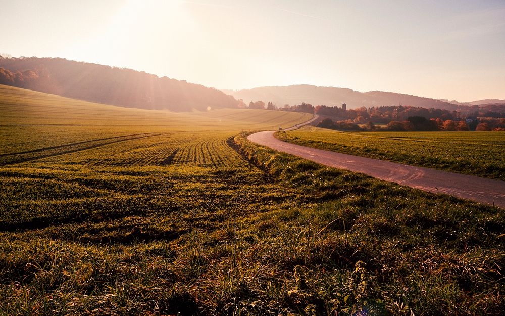 A winding road cutting through a meadow. Original public domain image from Wikimedia Commons