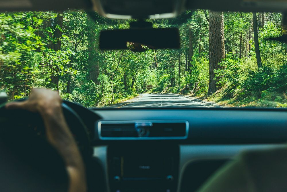 Driving into the woods. Original public domain image from Wikimedia Commons