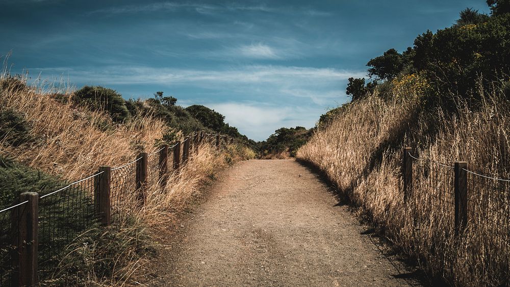 Road to beach. Original public domain image from Wikimedia Commons