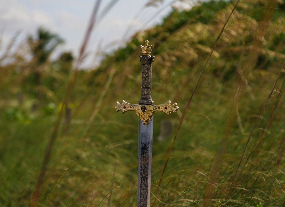 Decorated sword in the grass field. Original public domain image from Wikimedia Commons