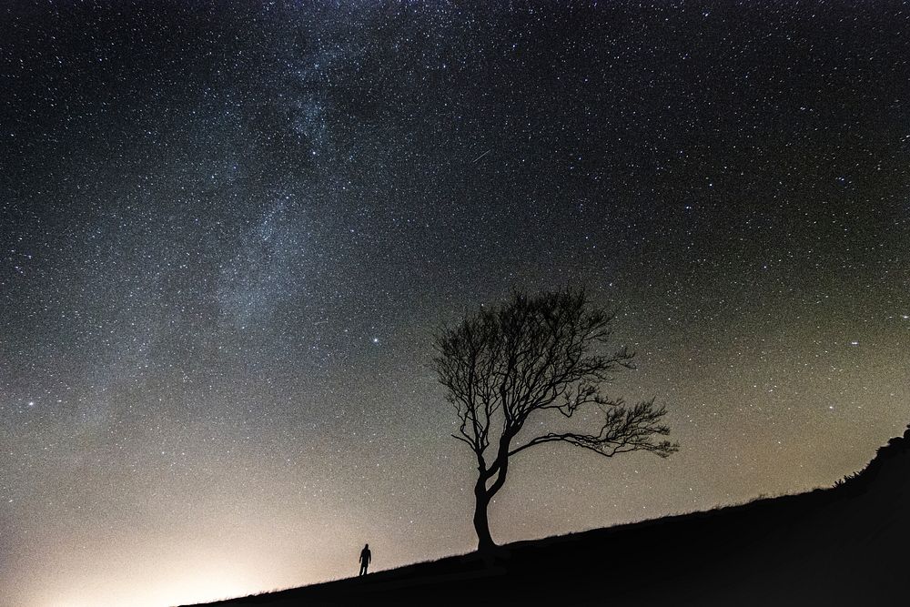 Silhouette of a man standing next to a tree under the starry night sky in Cromarty. Original public domain image from…
