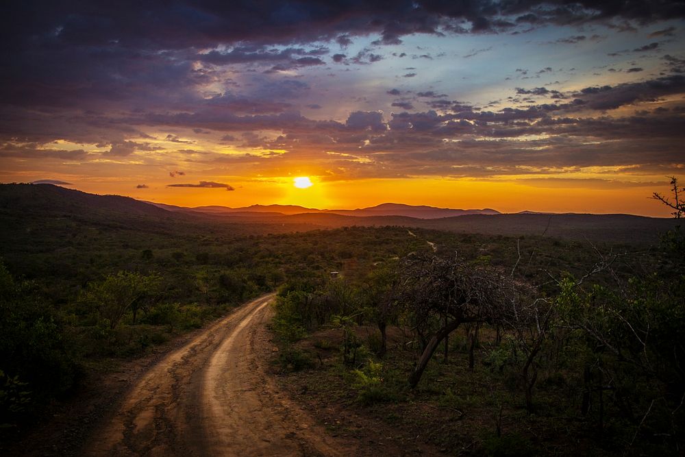 A bend in a dirt road through the savannah during sunset. Original public domain image from Wikimedia Commons