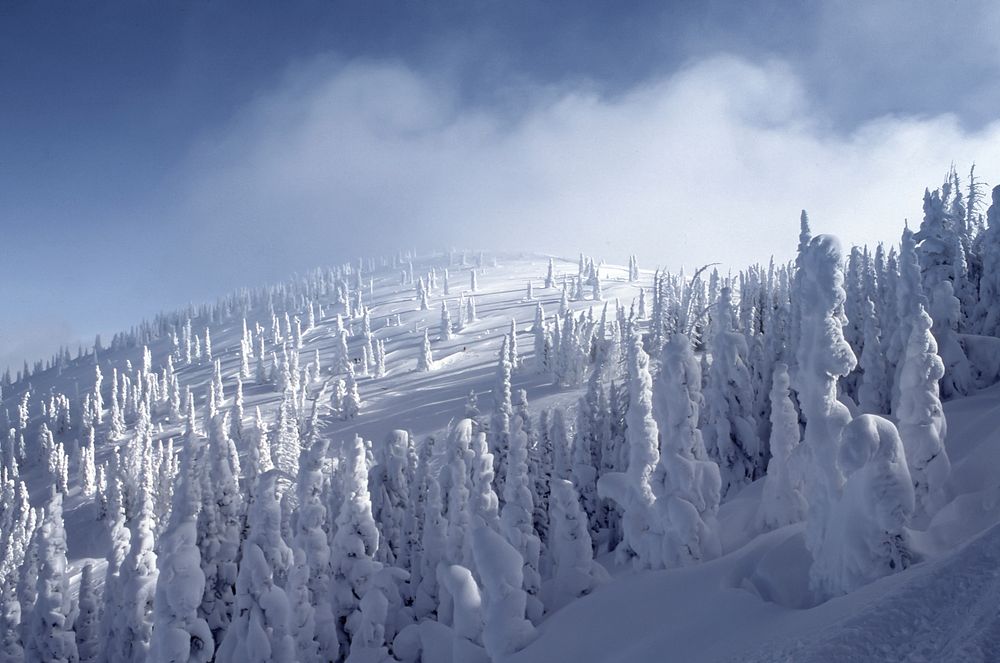 A drone view of a hilled forest covered in snow under a cloudy sky. Original public domain image from Wikimedia Commons