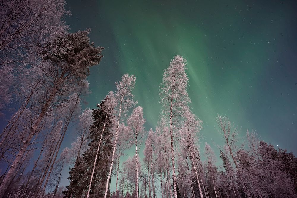 Aurora boreali, Lapland, Finland. Original public domain image from Wikimedia Commons