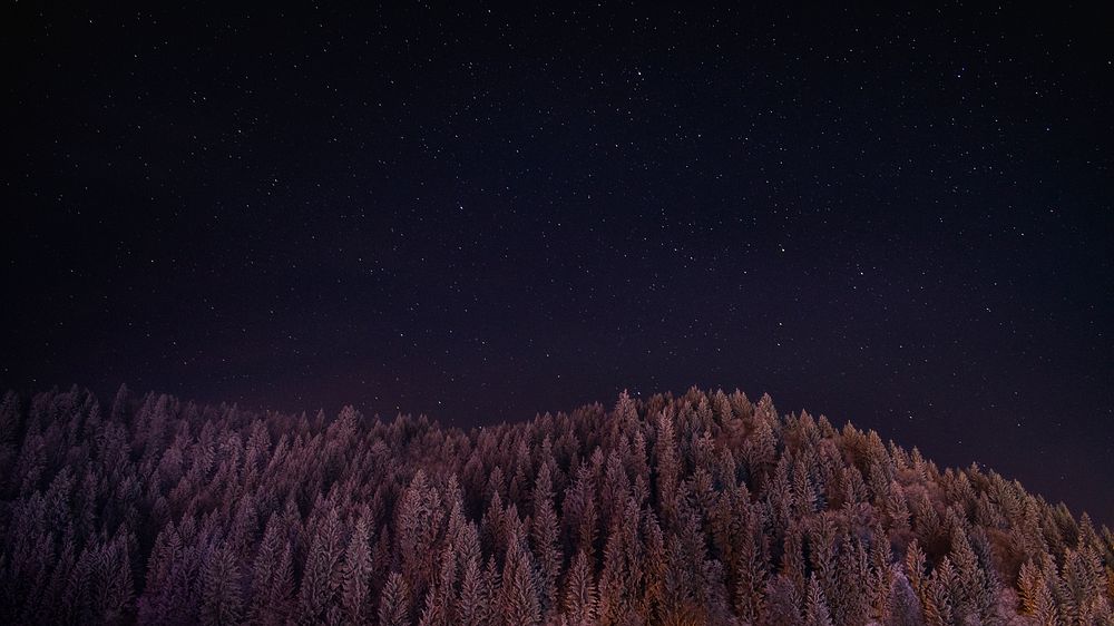 A hill with coniferous trees against a starry night sky. Original public domain image from Wikimedia Commons