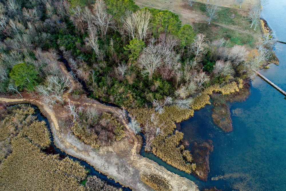 A drone shot of a picturesque stretch of forest near a lake in Guntersville, Alabama. Original public domain image from…