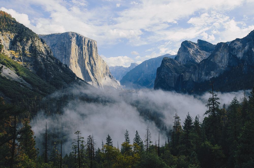Mist over the bottom of Yosemite Valley with view on El Capitan. Original public domain image from Wikimedia Commons