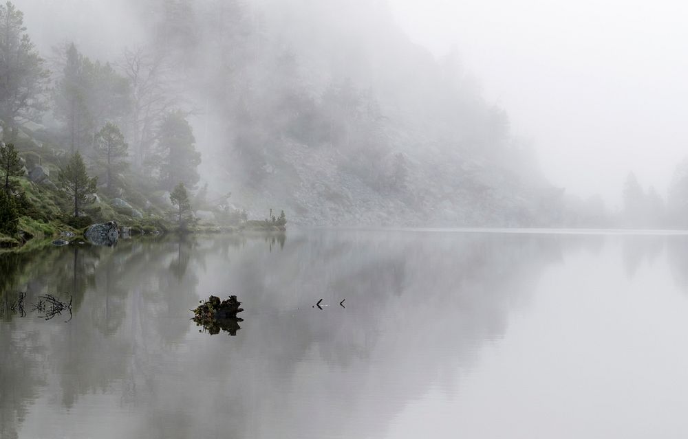 Calm isolated lake near pine on a misty morning in Pic de Néouvielle. Original public domain image from Wikimedia Commons