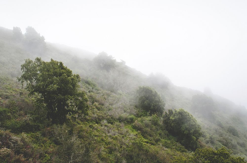 Mist rolls over a lush green hillside landscape. Original public domain image from Wikimedia Commons