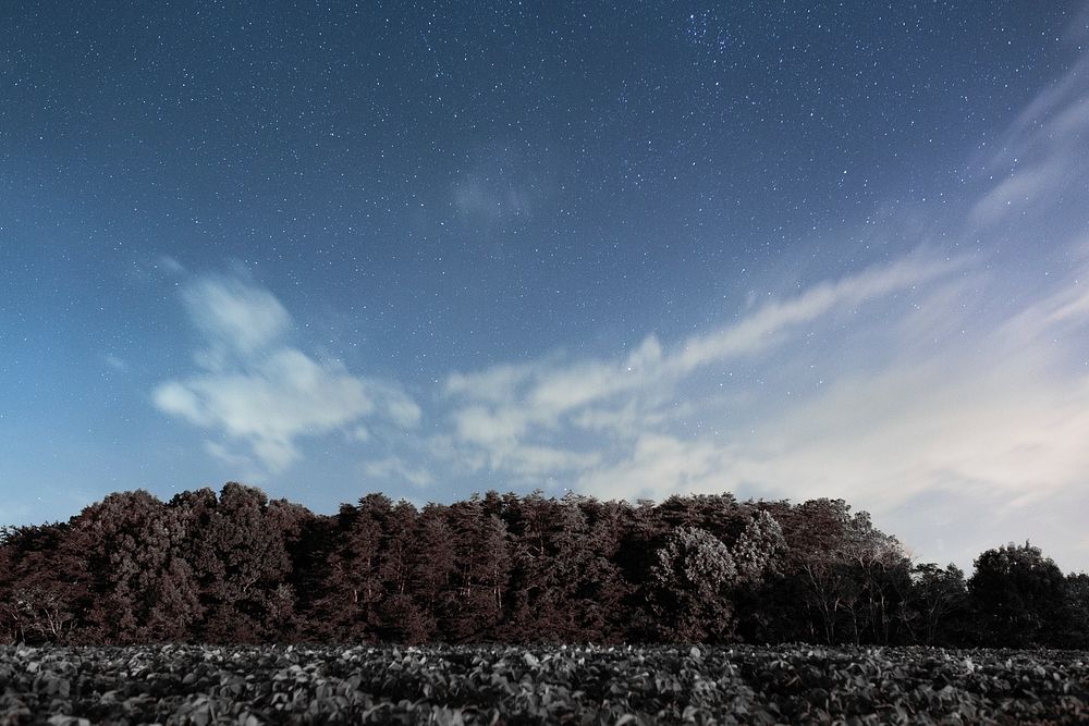Clouds on a starry sky over a treeline in Hanging Rock State Park. Original public domain image from Wikimedia Commons