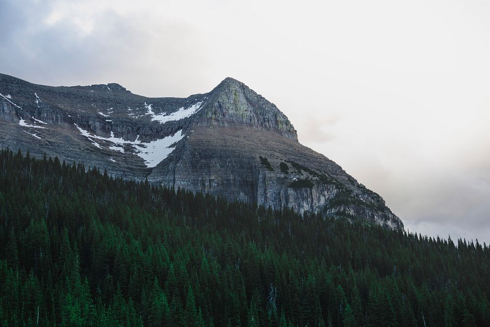 A flat mountain with patches of snow near an evergreen forest in Glacier National Park. Original public domain image from…