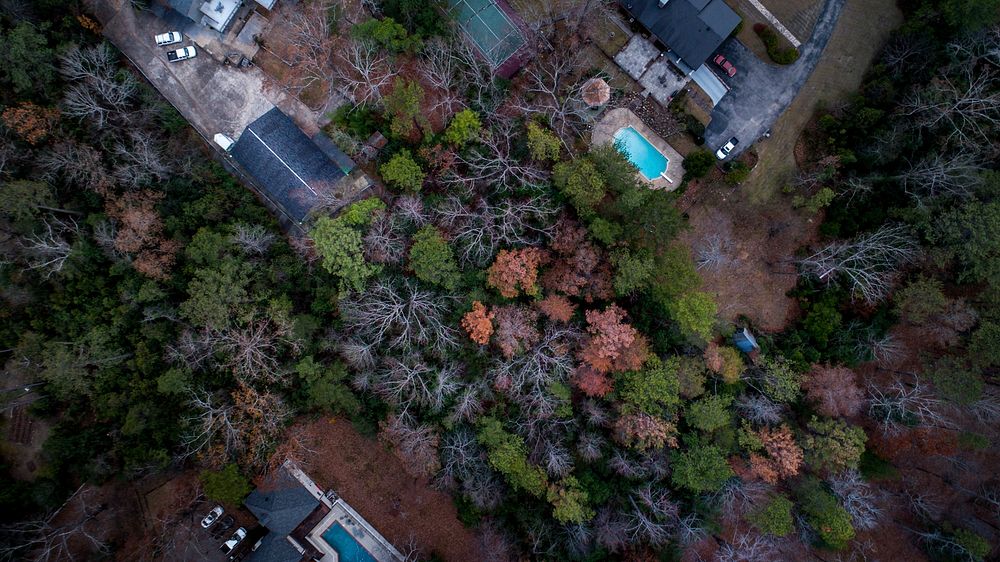 A drone shot of houses with pools at the edge of a forest in Birmingham, Alabama. Original public domain image from…