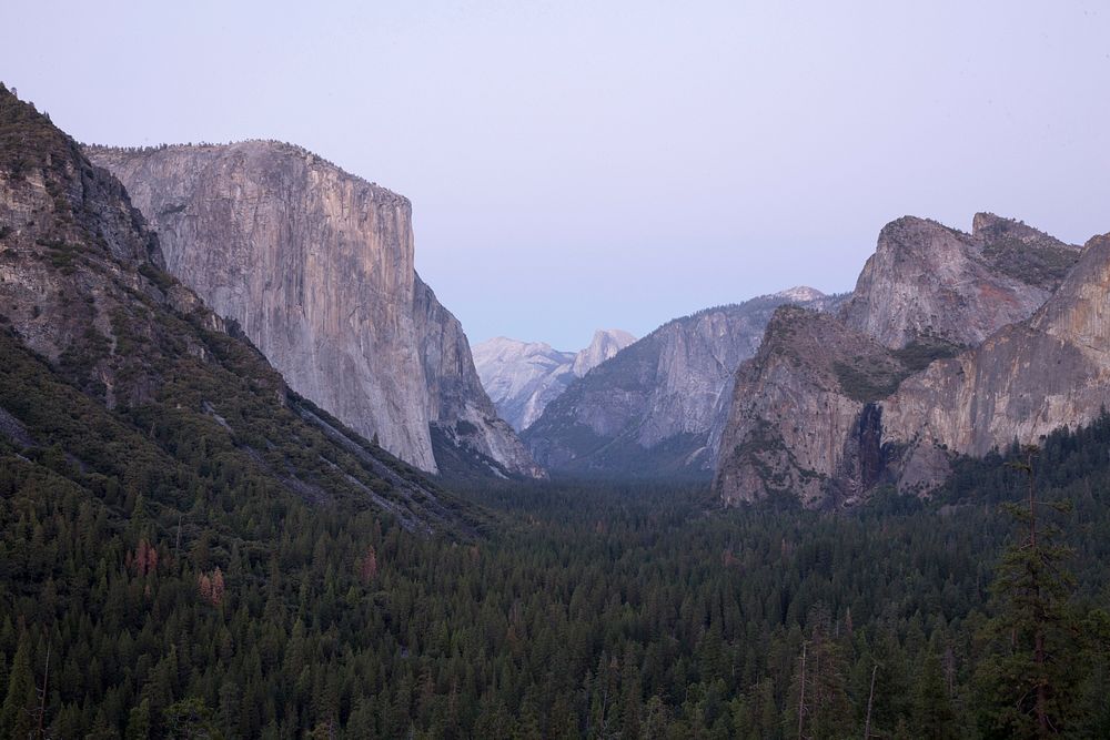 The bottom of Yosemite Valley on a breezy morning. Original public domain image from Wikimedia Commons