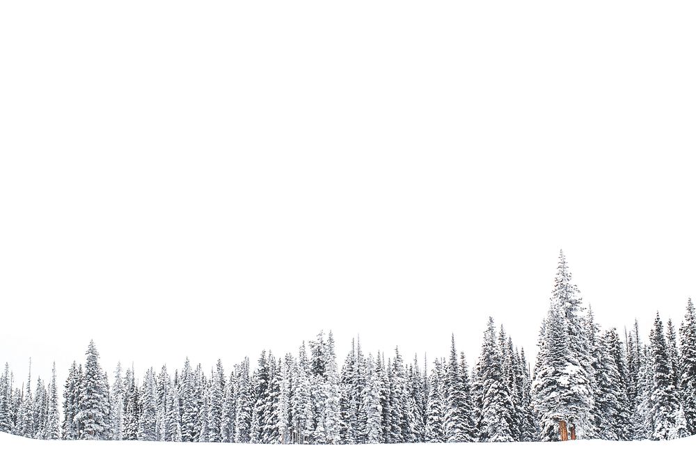 Evergreen woods under a thick layer of snow. Original public domain image from Wikimedia Commons