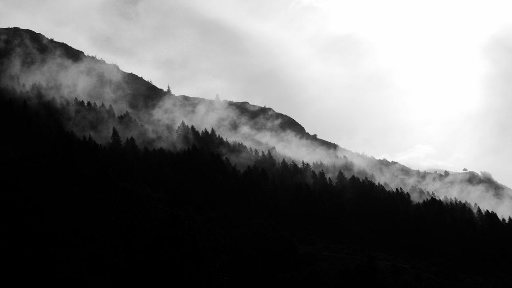 Mist rolling down a slope covered with silhouettes of coniferous trees. Original public domain image from Wikimedia Commons