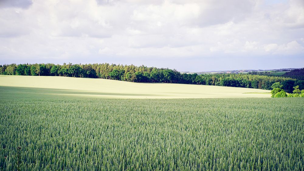 Thuringia, Germany. Original public domain image from Wikimedia Commons