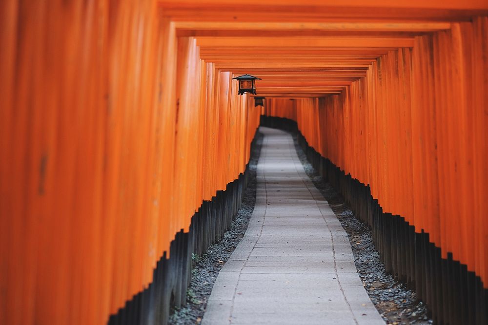 Tori gates, Fushimi Inari Taisha, Kyoto, Japan. Original public domain image from Wikimedia Commons
