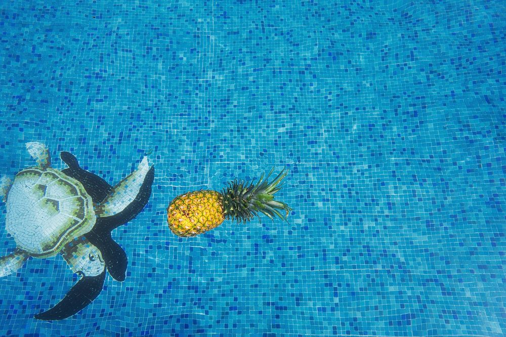 Swimming pool floor with turtle and pineapple tiles. Original public domain image from Wikimedia Commons