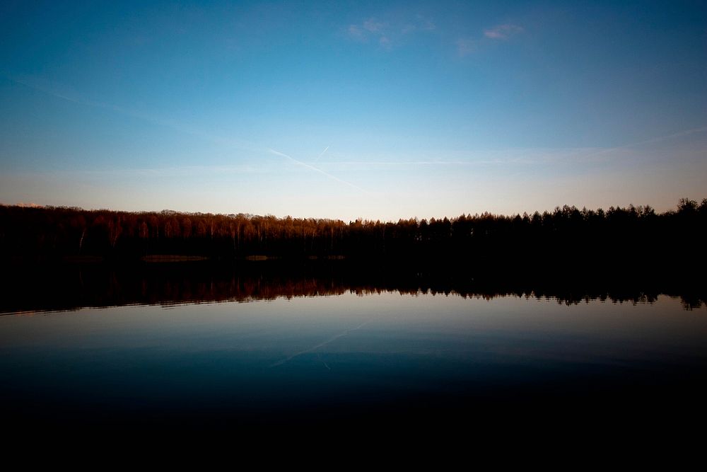 Silhouettes of trees reflected in a still lake in the evening. Original public domain image from Wikimedia Commons
