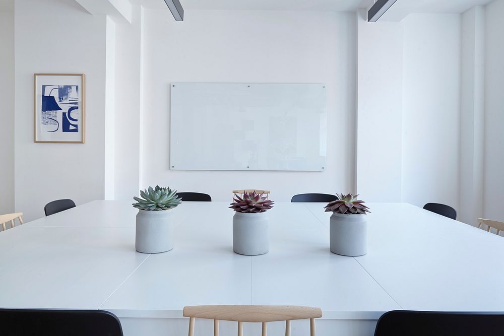 Three potted succulents on a large white table in a conference room. Original public domain image from Wikimedia Commons