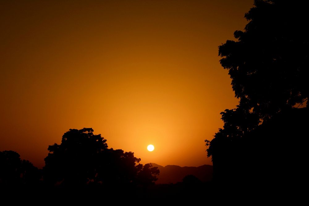 Trees in silhouette against a dramatic hazy warm golden sunset.. Original public domain image from Wikimedia Commons