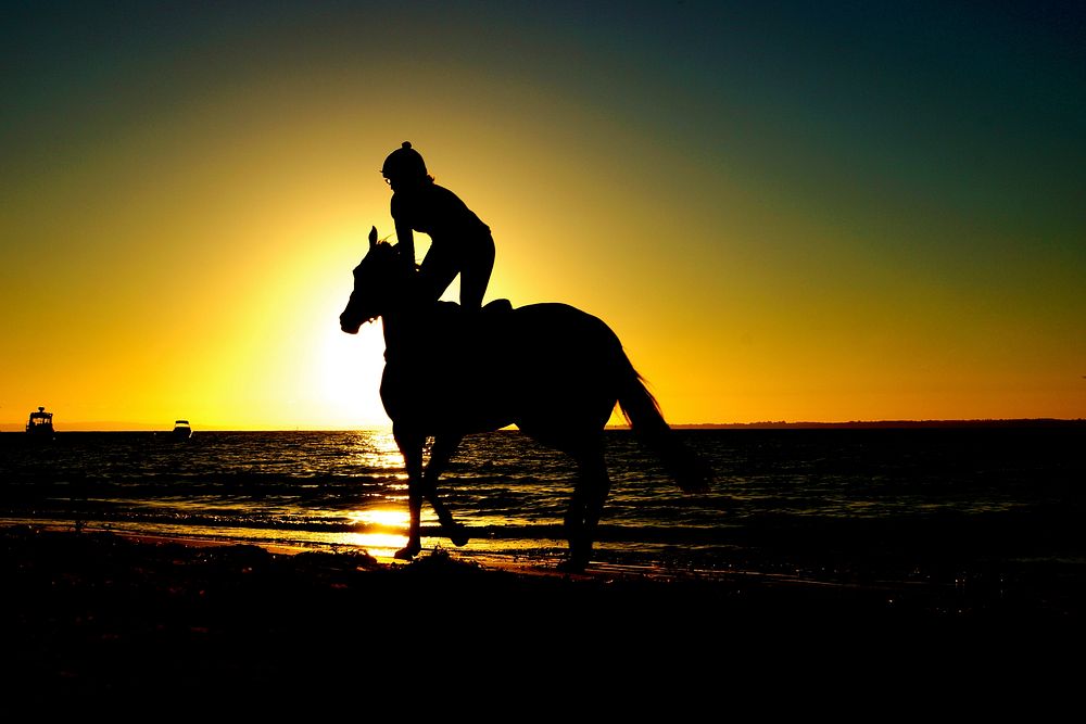 A silhouette of a person riding a horse along a beach during sunset. Original public domain image from Wikimedia Commons