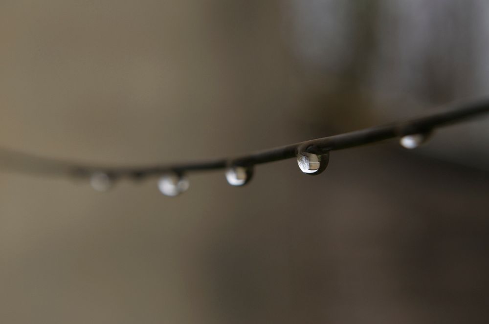 A line with beads of dew hanging evenly spaced. Original public domain image from Wikimedia Commons