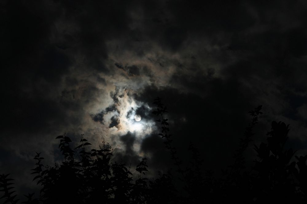 Looking up at the full moon peeking out of dark clouds through some trees at Maastricht. Original public domain image from…