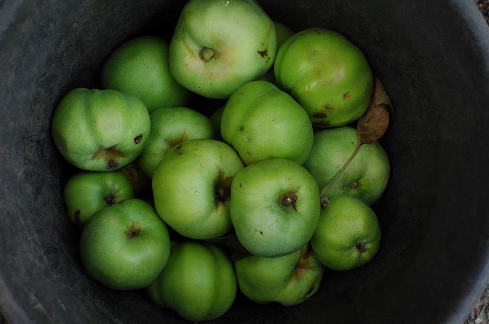 Green apple. Original public domain image from Wikimedia Commons
