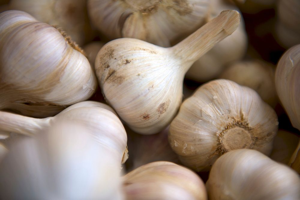 Garlic vegetables. Original public domain image from Wikimedia Commons