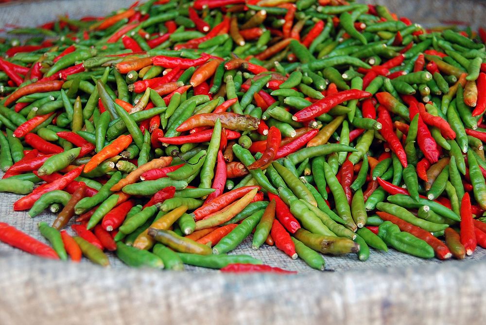 Red and green chili peppers gathered in a cloth. Original public domain image from Wikimedia Commons