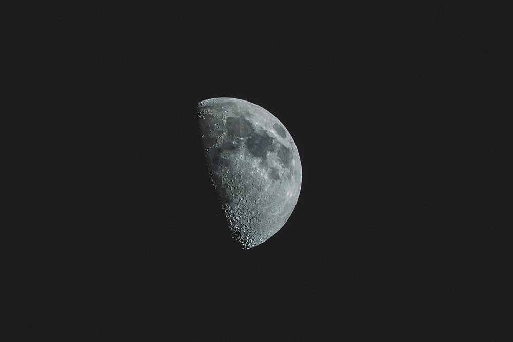 A close-up view of the half moon at Nelson, showing the dark lunar spots. Original public domain image from Wikimedia Commons