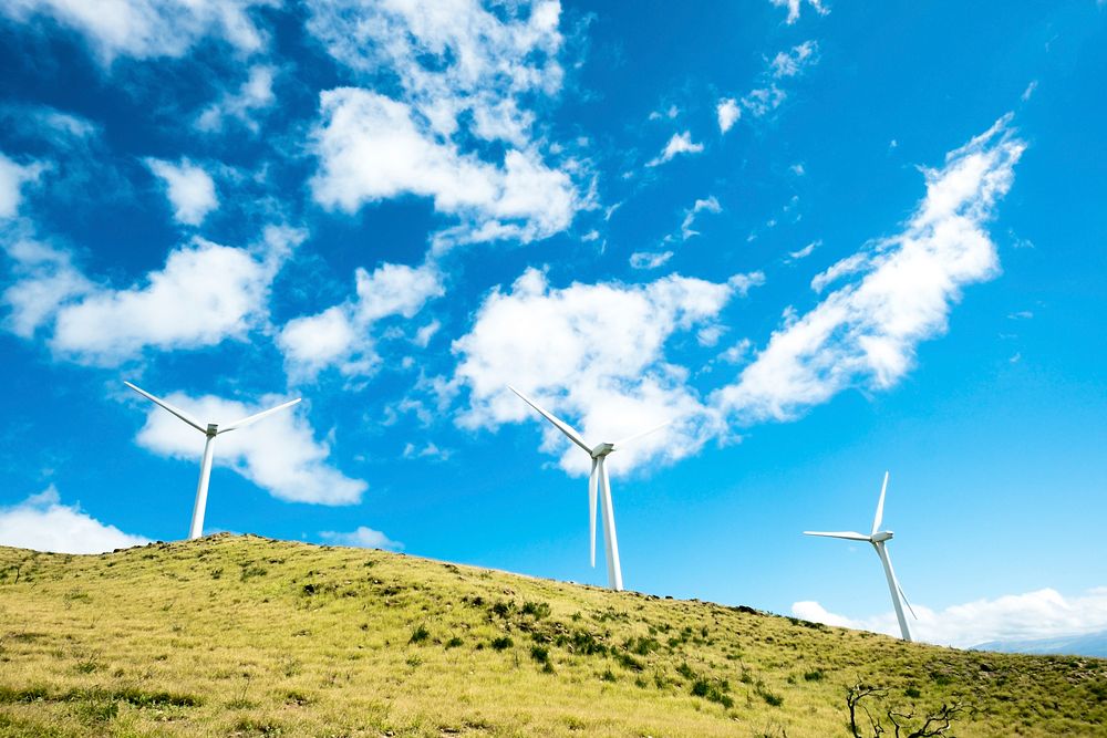 Windmills in a green grassy hillside. Original public domain image from Wikimedia Commons