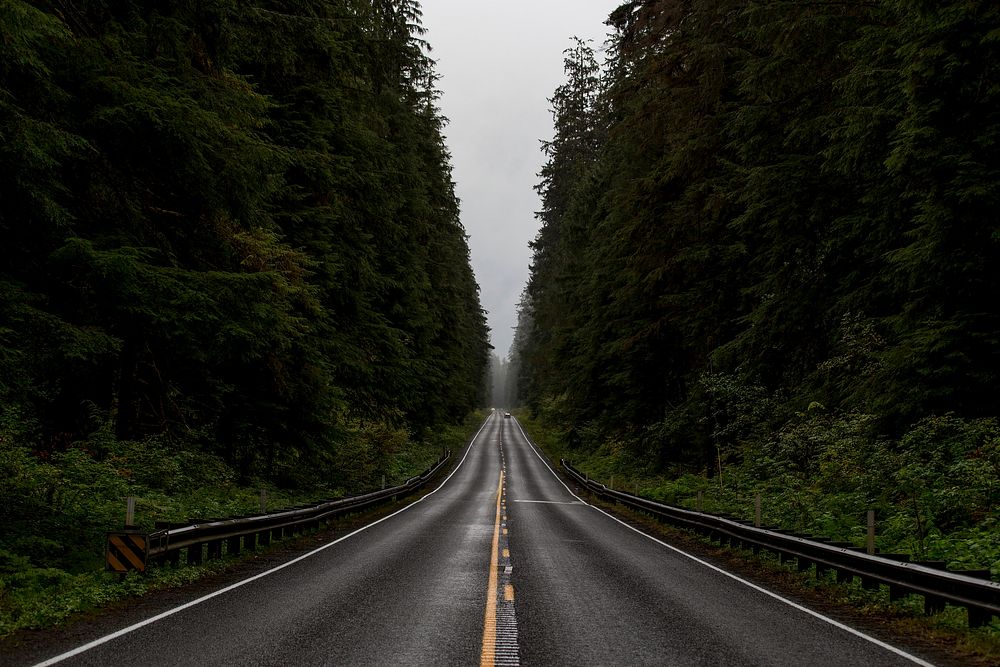 An asphalt road through a dark forest. Original public domain image from Wikimedia Commons