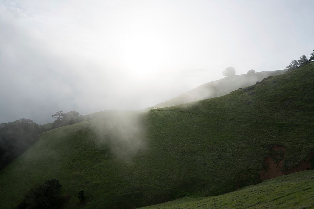 Fog on a misty morning over rolling green hills. Original public domain image from Wikimedia Commons